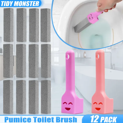 Pumice stone toilet brush