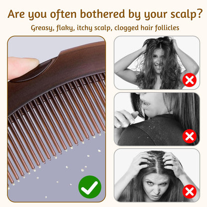 Hollow Tooth Dandruff Comb