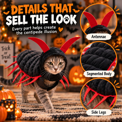 😺Halloween Cat Centipede Costume – Funny 3D Padded Creepy Crawler Outfit for Cats