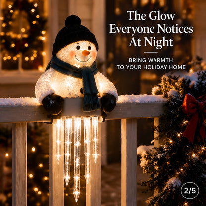 Christmas Character Cascade Lights