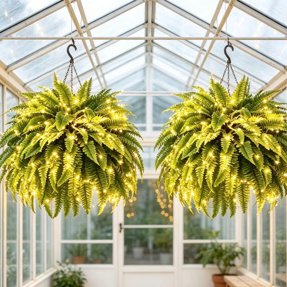 💛Glowing Boston Ferns with Lights🌿