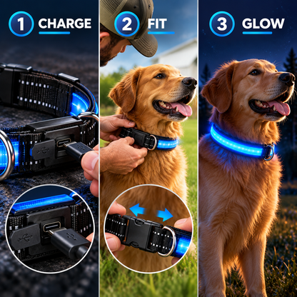 GlowPaw LED Safety Collar™