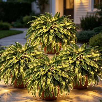 💛Glowing Boston Ferns with Lights🌿