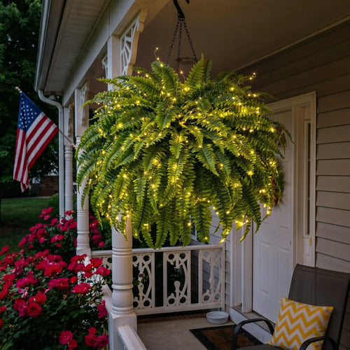 🌿Glowing Boston Fernswith Lights-ZeroWatering, Zero Maintenance